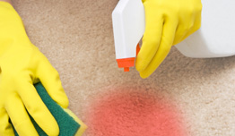 Carpet Cleaning